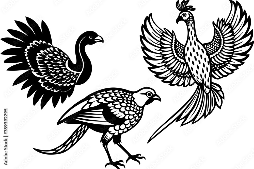 pheasant-flamingo-condor-kestrel-flying-in-the-sky vector illusrtation pheasant-flamingo-condor-kestrel-flying-in-the-sky vector illusrtation