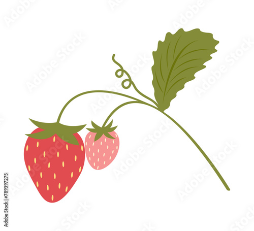 Twig with red and pink strawberry and green leaf on a white background. Juicy berry drawn in flat style. Minimalistic vector illustration for children's books, prints, cards