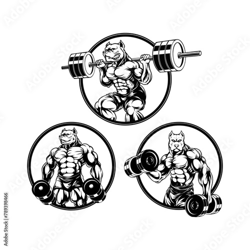 Bodybuilder Pitbull Gym Graphic Set
