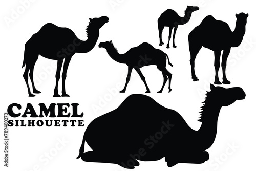 Camel silhouette collection. Set of black Camel silhouette. Camel silhouette set.