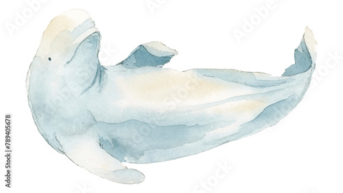 Obraz na plátně Watercolor painted beluga whale transparent png