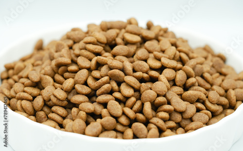 Close up of dry pet food in a white bowl, dog and cat food background. Selective focus concept.