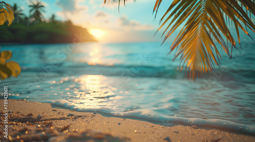 Blurred background of a tropical beach with palm trees, sand, sea and sunset.
