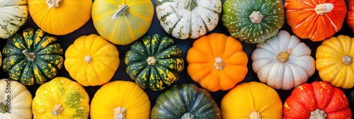 Various fresh ripe pumpkins as background , highlighting its striking features, Graphic Design, Banner Image For Website, Background, Desktop Wallpaper
