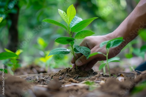 Human hand lovingly planting a sapling amidst lush greenery symbolizing World Environment Day photo