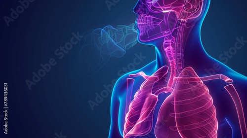 Respiratory System Diagram Chart for Medical Education. Modern image.