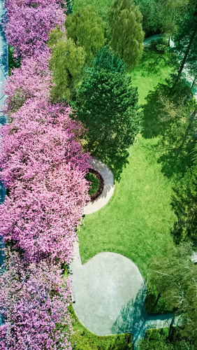 View from above garden