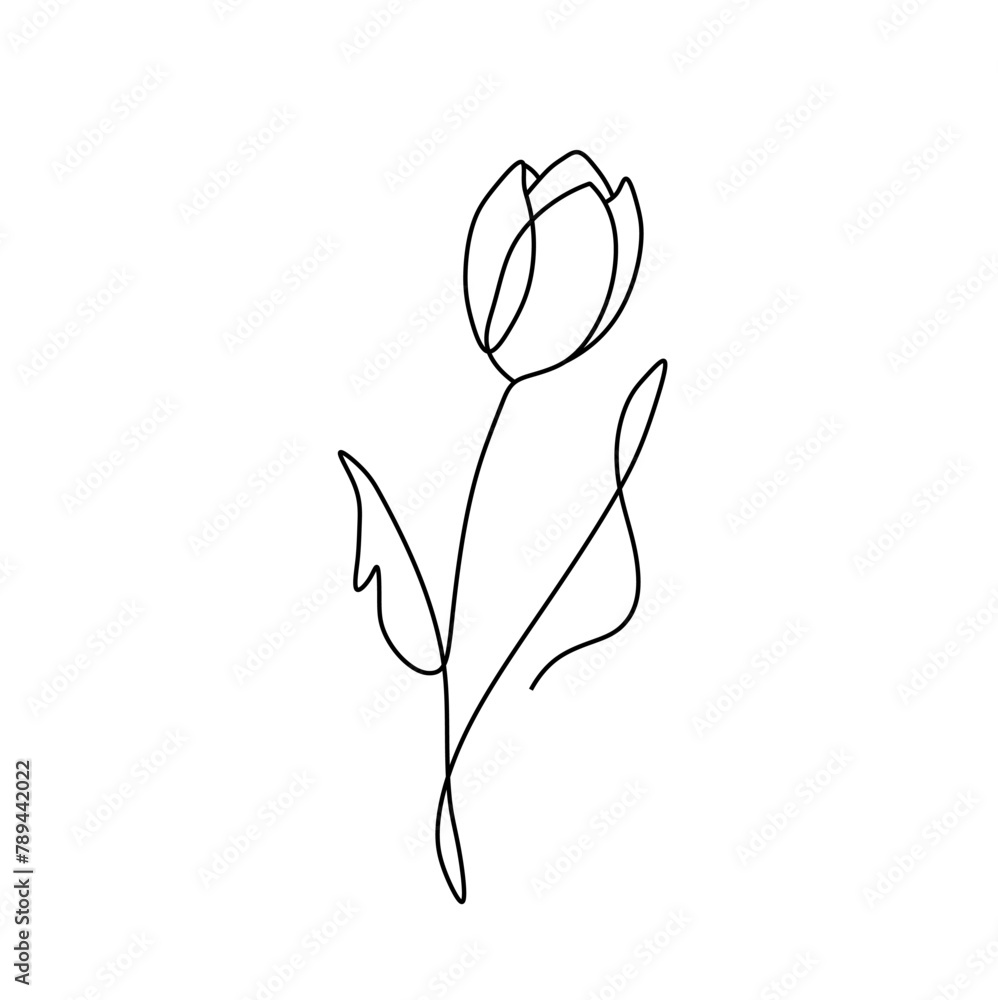 Vector isolated one single tulip flower line art colorless black and ...