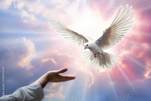 A hand and a flying white dove in the blue sky. The concept of freedom  International Day of Peace. 