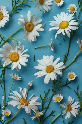 Beautiful white flowers on a vibrant blue background. Perfect for spring or nature themed designs