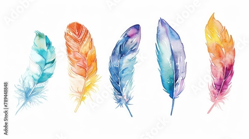 A group of colorful feathers sitting next to each other. Perfect for arts and crafts projects © Fotograf