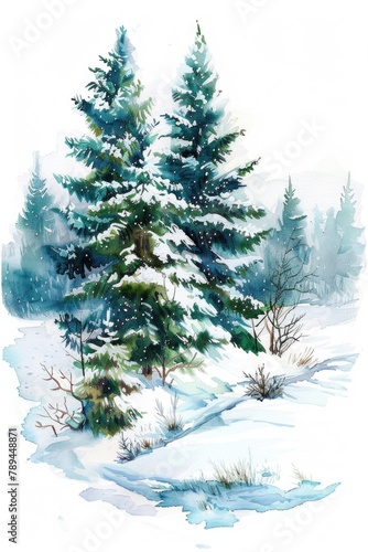 A beautiful watercolor painting of a pine tree in the snow. Perfect for winter-themed designs