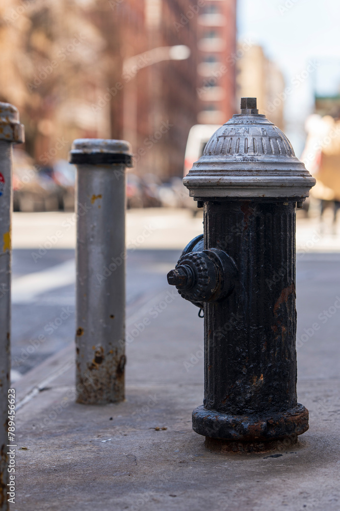 Black fire hydrant on the streets of New York City Black fire hydrant on the streets of New York City