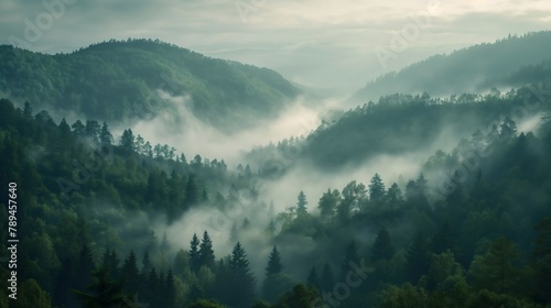 Ethereal Elevation: Enveloped in Mist