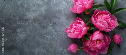 Pink peony flowers displayed on a grey stone surface with space available for adding text. Presented in a flat style and captured from a top-down perspective.