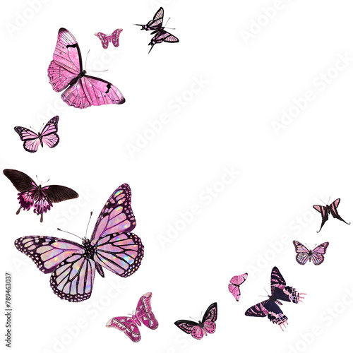 Pink butterfly border design element