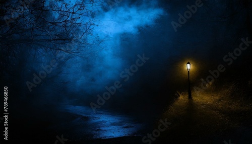 霧の暗い怖い夜道