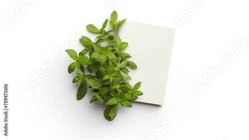 A blank notebook featuring an isolated bunch of herbs against a stark white background