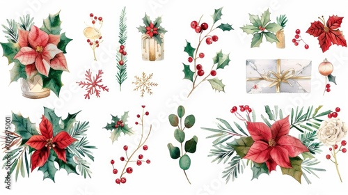 A collection of Christmas decorations including poinsettias and holly. Perfect for holiday themed designs