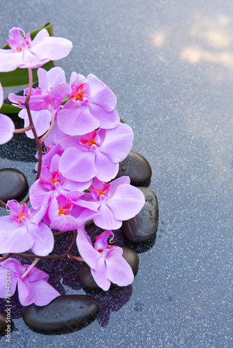 Black spa stone and pink orchid flowers on the gray table background. © Swetlana Wall