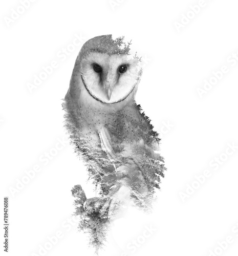 Double exposure of common barn owl and trees