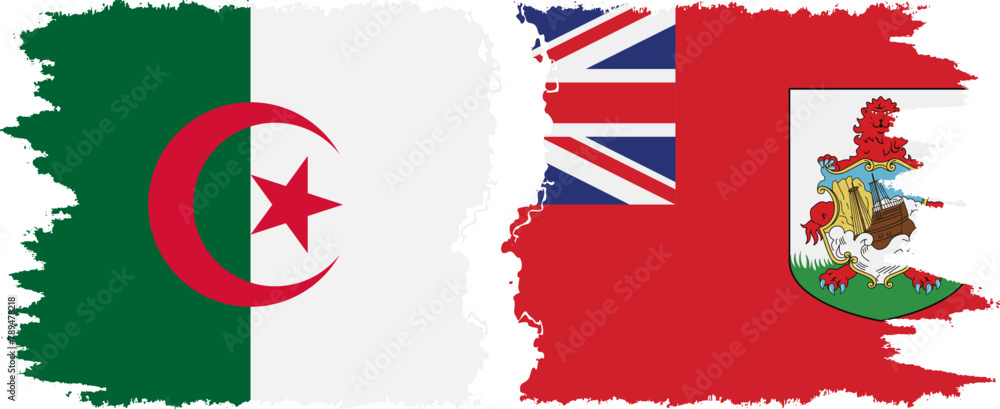 Bermuda and Algeria grunge flags connection vector Bermuda and Algeria grunge flags connection vector