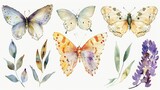 Beautiful butterflies and lavender flowers on a white background. Perfect for nature-themed designs