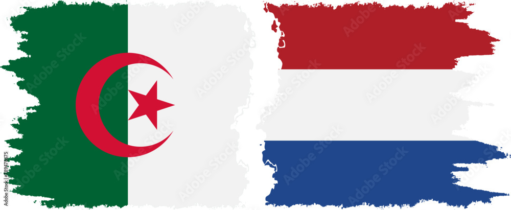 Netherlands and Algeria grunge flags connection vector Netherlands and Algeria grunge flags connection vector