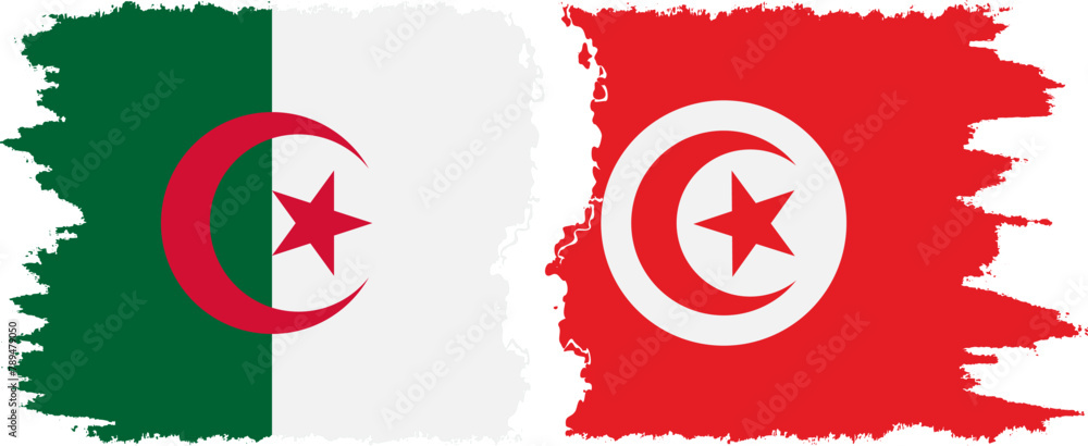 Tunisia and Algeria grunge flags connection vector Tunisia and Algeria grunge flags connection vector