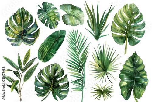 Vibrant watercolor painting of various tropical leaves, perfect for botanical designs #789479088