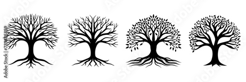 Hand drawn illustration of  tree