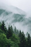 Scenic foggy mountain range with green pine tree forest