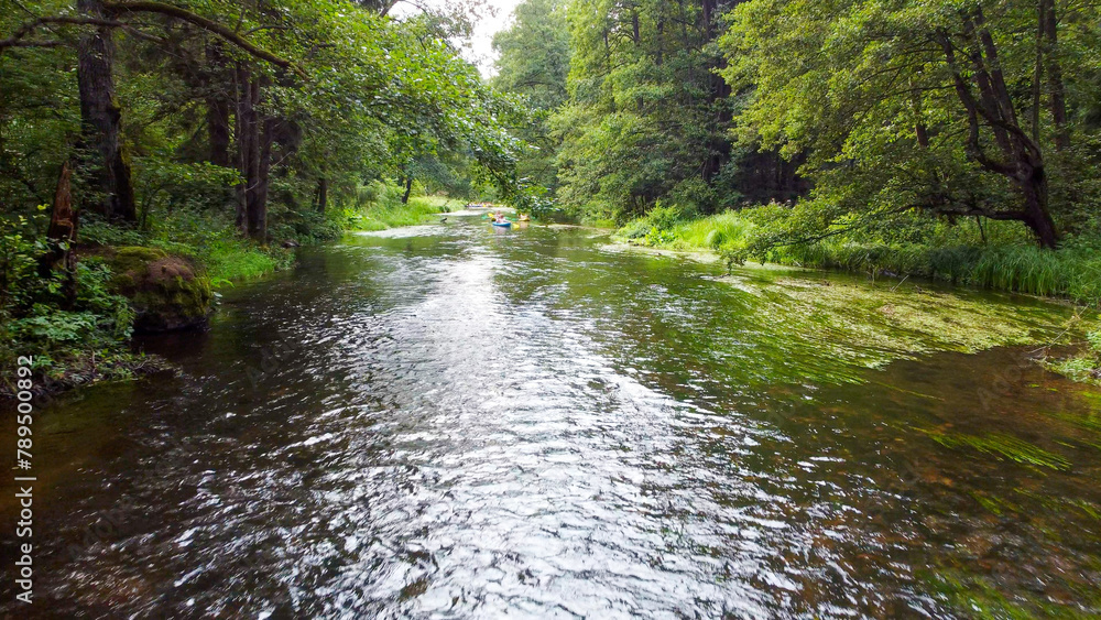 aerial pictures made with a dji mini 4 pro drone over Rospuda River, Poland.