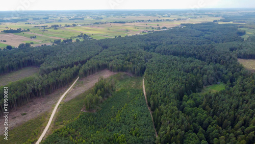 Fototapeta Naklejka Na Ścianę i Meble -  aerial pictures made with a dji mini 4 pro drone over Rospuda River, Poland.