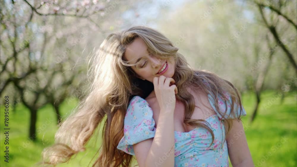Brunette woman in a blue dress spinning in a field of blooming almond trees Brunette woman in a blue dress spinning in a field of blooming almond trees