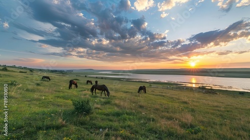 View of horses along the Elton Lake at sunset, Volgograd oblast,