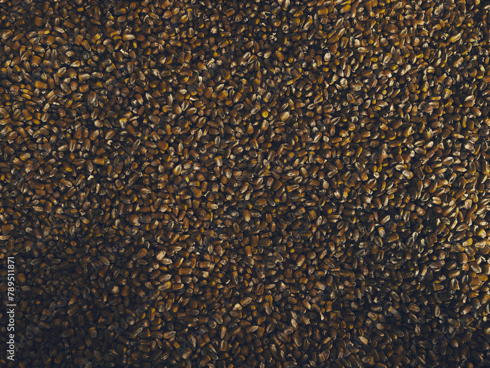 Golden Harvest Golden Harvest
