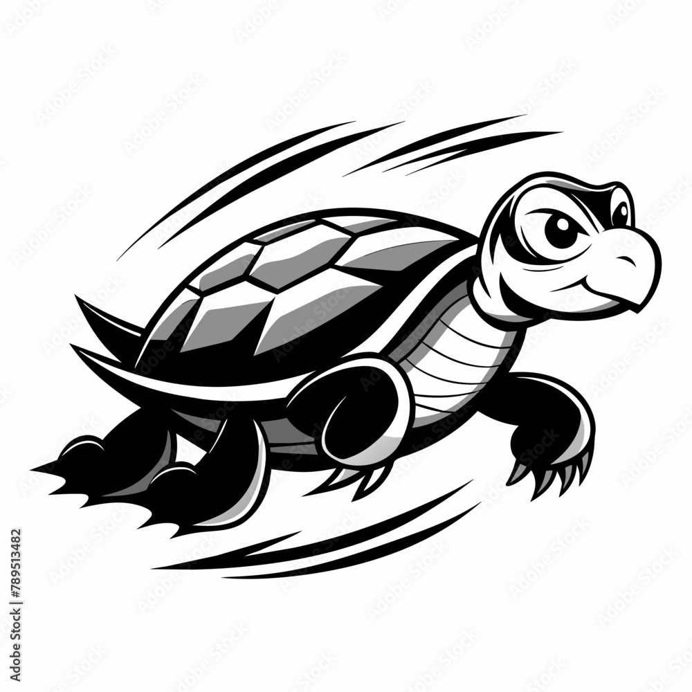 turtle Tortoise Vector vector illustration turtle Tortoise Vector vector illustration