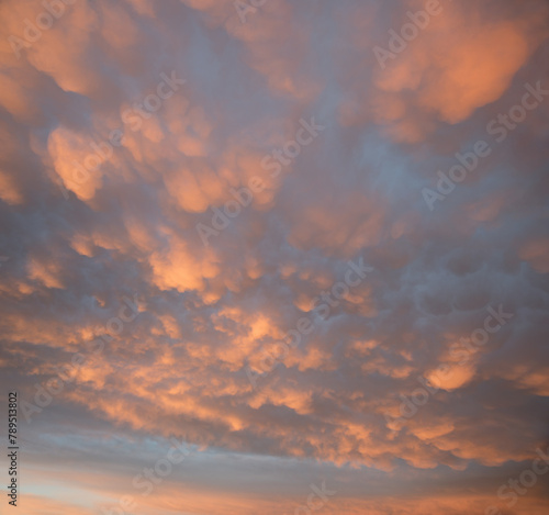 Weather phenomenon with bag-shaped mammatus clouds in special weather conditions, at sunset. square format