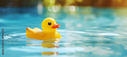 Rubber Duck Floating in Blue Pool Water