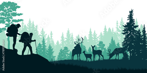 Forest landscape with tourists watching deer. Vector illustration.