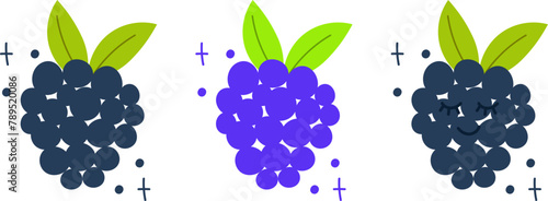 Set of blackberry,bramble,dewberry isolated on white. Vector illustration in doodle style. Cute flat style. blackberry with kawaii eyes.Funny hand draw fruit piece. Dark blue and green colors.