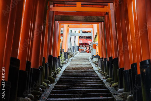 Ascending Pathway through Torii Gates at Fushimi Inari