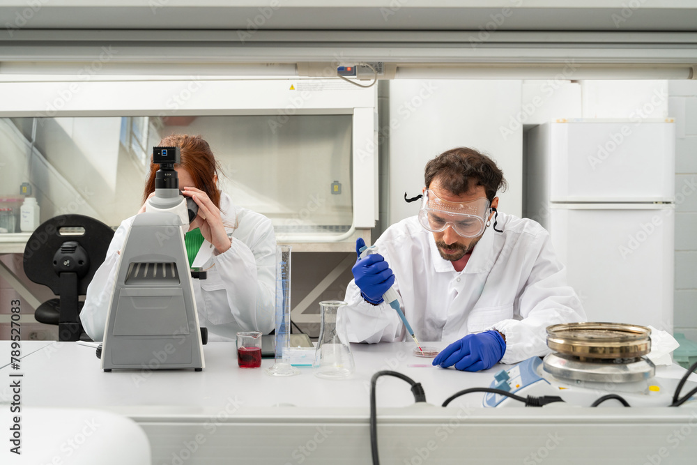 scientists working in biotech laboratory scientists working in biotech laboratory