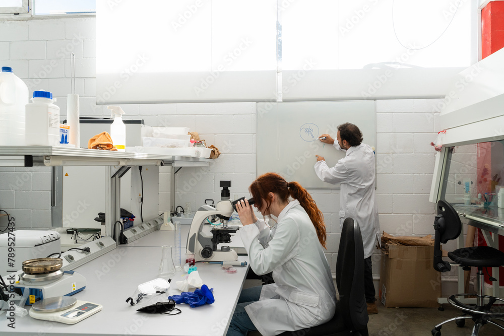 scientists working in biotech laboratory scientists working in biotech laboratory