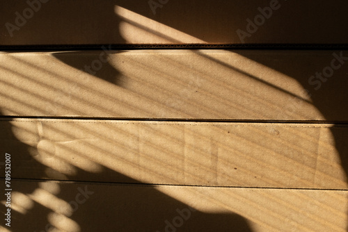 Stacked cardboard booxes with natural golden sunlight photo