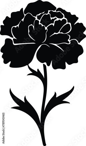 carnation silhouette