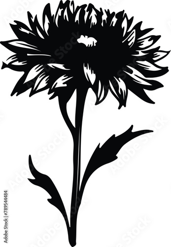 cornflower silhouette