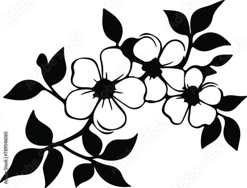 dogwood silhouette