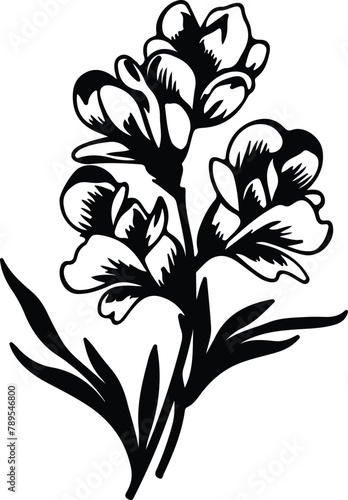 freesia silhouette